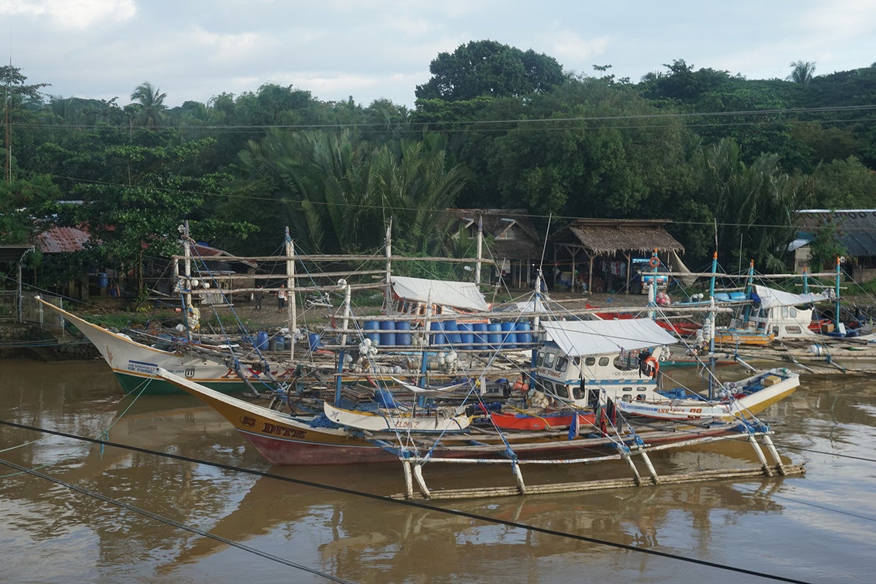 Local Efforts Put a Dent in Illegal Dynamite Fishing in the Philippines -  Oceana